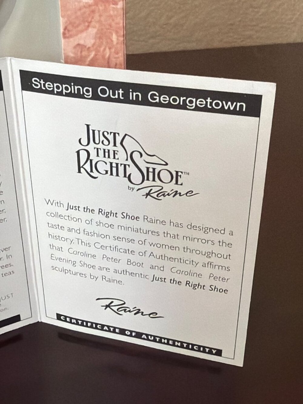 Raine Just the Right Shoe Stepping Out Georgetown #25782 Mount Vernon NEW - Picture 10 of 11